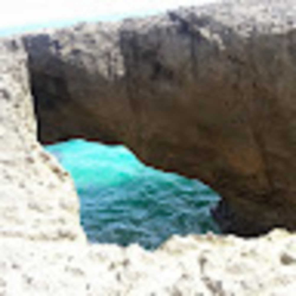 Meet your Posher, Tatiana